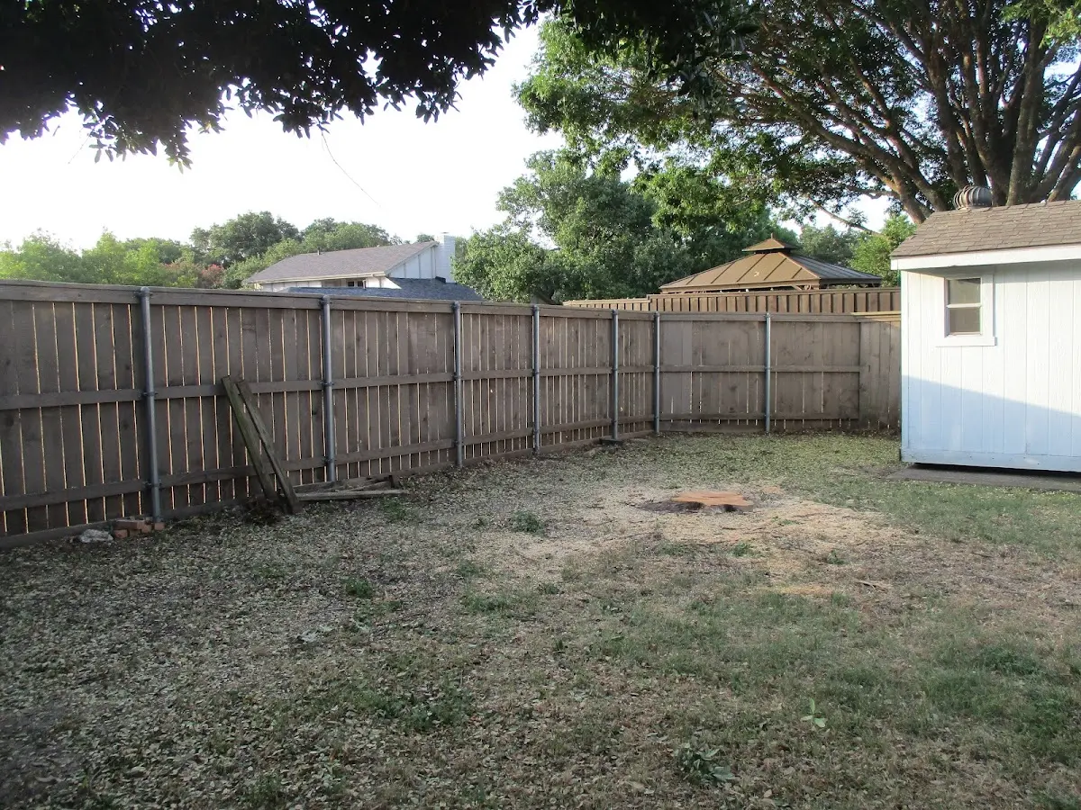 Cleared yard after professional tree removal in Ninety Six